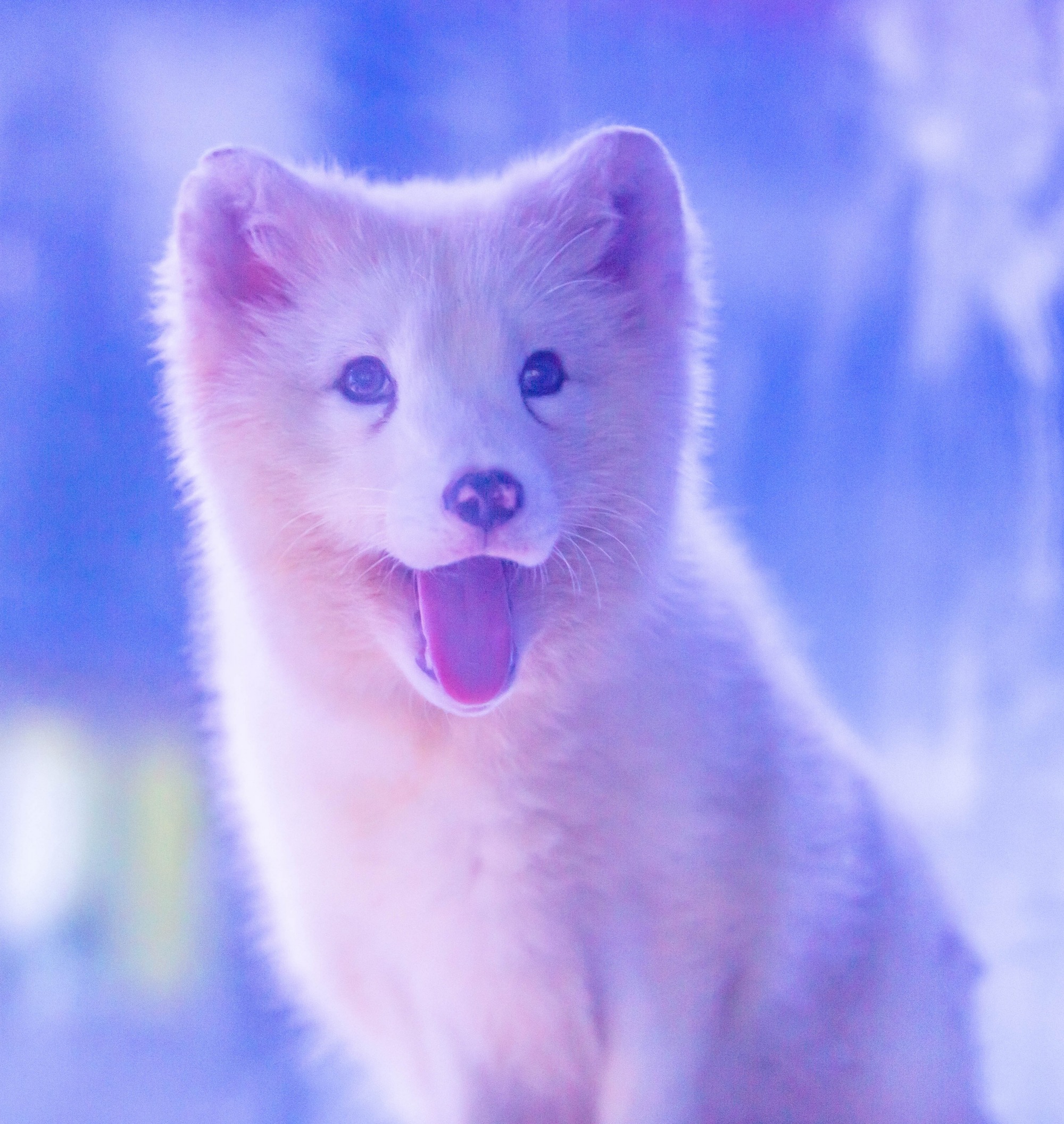 微信图片_20210125160252