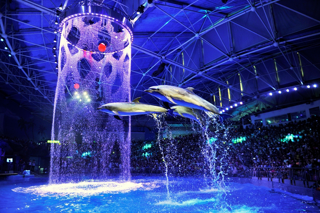国庆出游,海洋公园门票最低29.9元