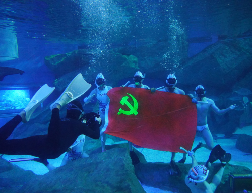 水下党旗挥舞 成都海昌极地海洋公园向党献上百年礼献