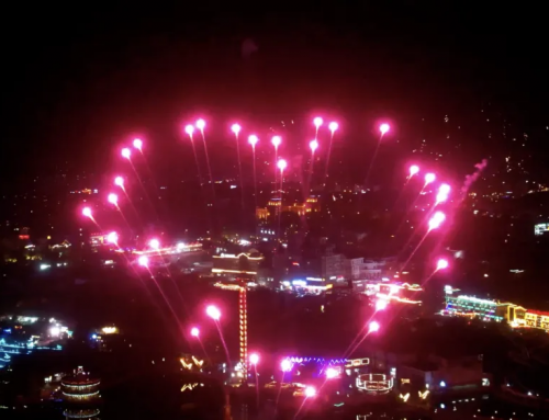 开学季遇上七夕夜：大连海昌发现王国三重惊喜引爆金秋浪漫狂欢