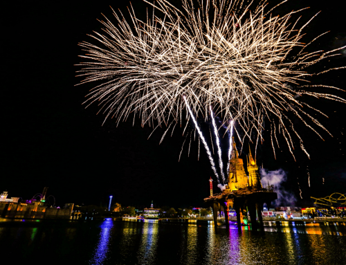 清明假期夜场首开！大连海昌发现王国解锁春日新玩法！