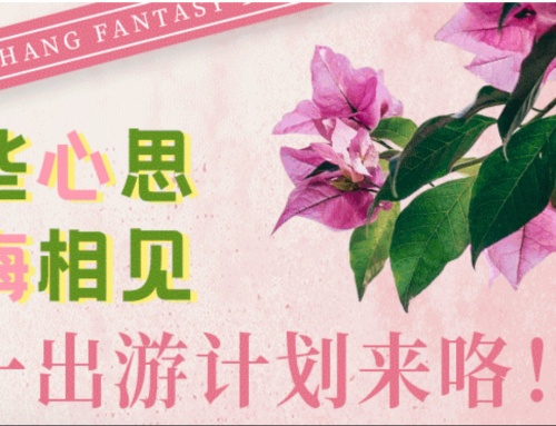 刘畊宏女孩请注意，五一锁定不夜城，一起美梅相见！