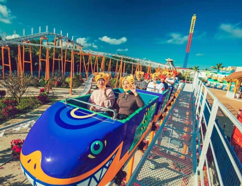 儿童免费·全家畅游 | 4月29日海昌不夜欢乐开启→