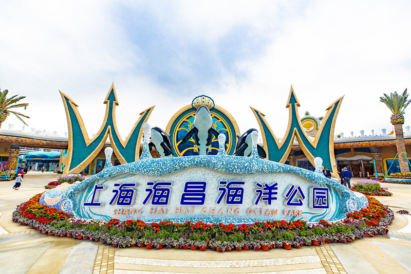 88+ 图片 海 新的 82 上海海昌海洋公园官方网站- 海昌海洋公园