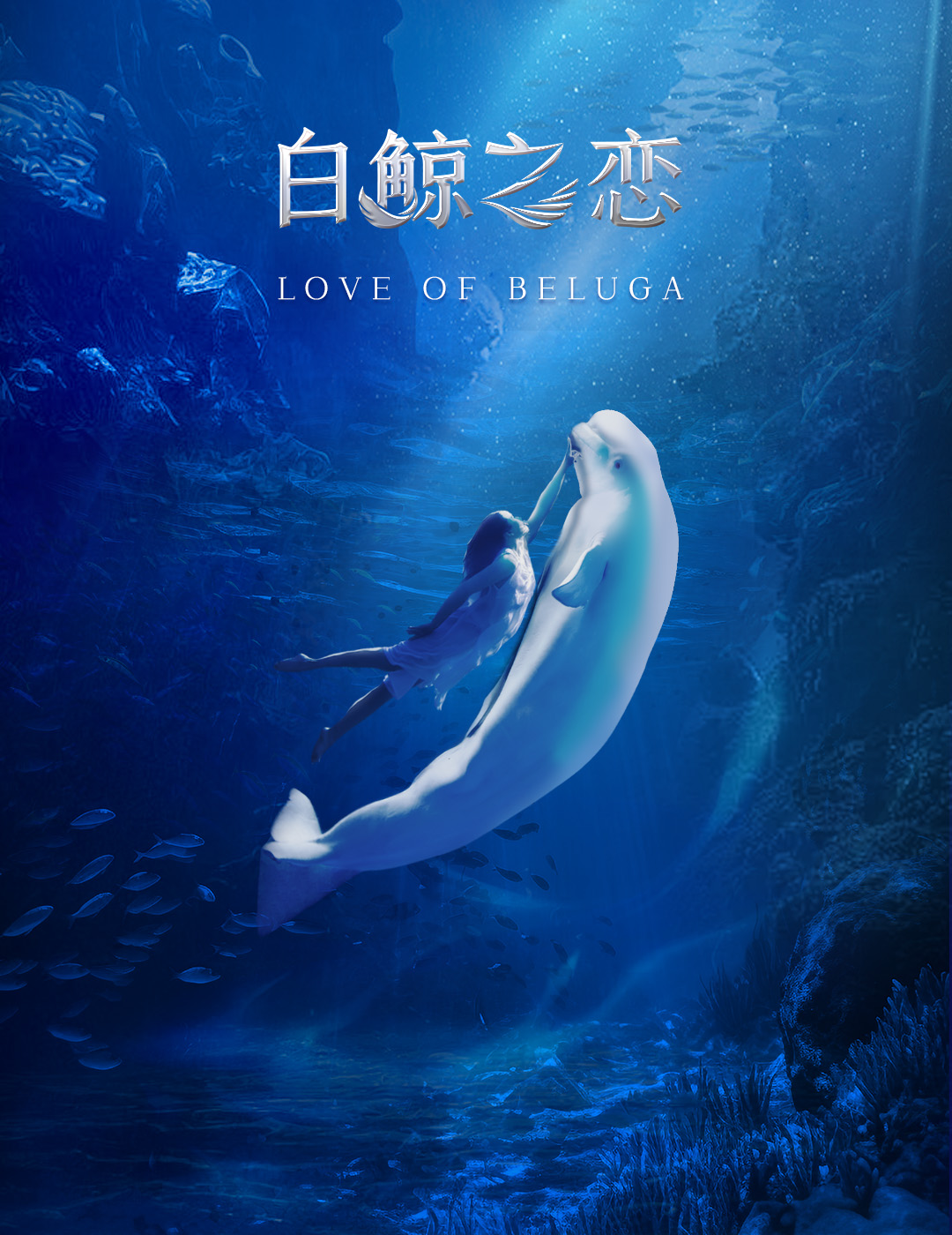 2024.02.10 白鲸之恋加usp1080×1400无字