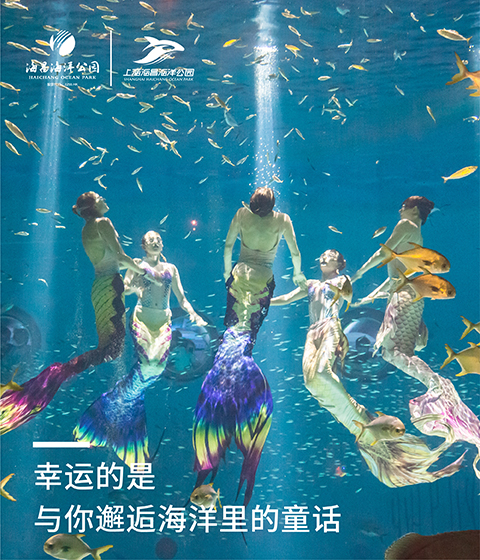 上海海昌海洋公园官方网站 海昌海洋公园 上海海昌海洋公园官方网站 海昌海洋公园