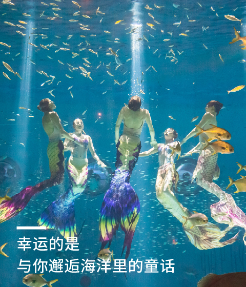 88+ 图片 海 新的 39 上海海昌海洋公园官方网站- 海昌海洋公园
