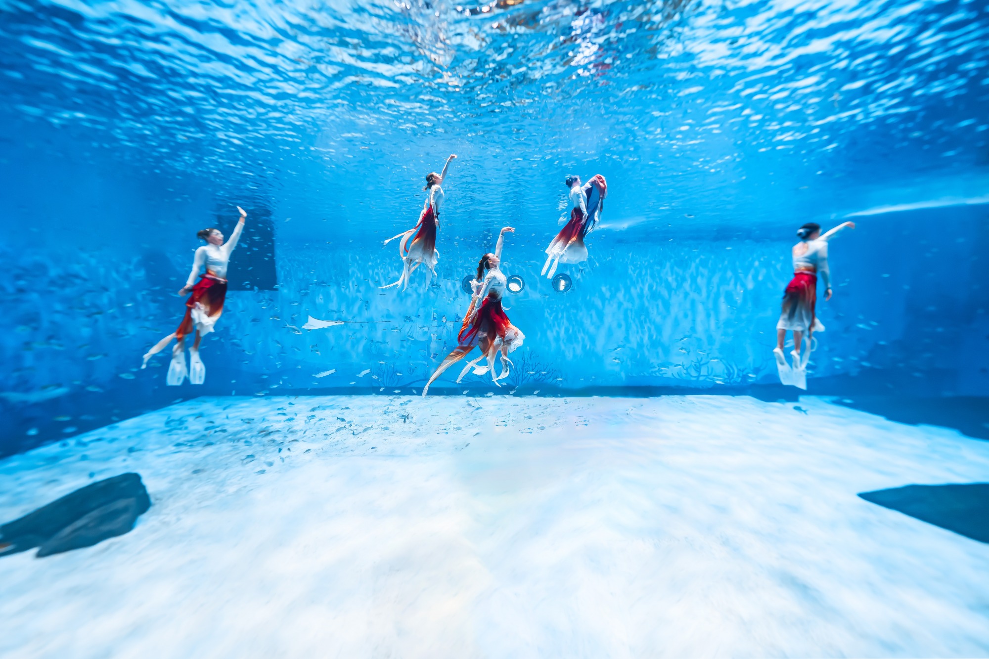 2b74f53787701d7587563d2b3c08d02