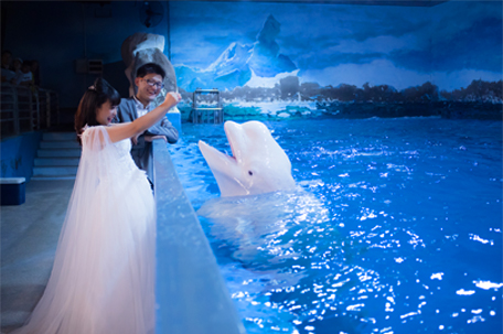 tianjin_wedding001