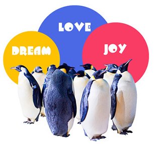 animal-conservation-yysl