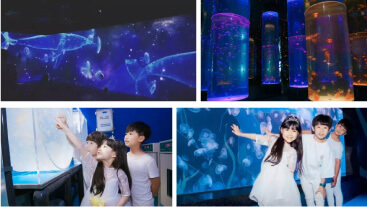 水母主题馆 水母主题馆