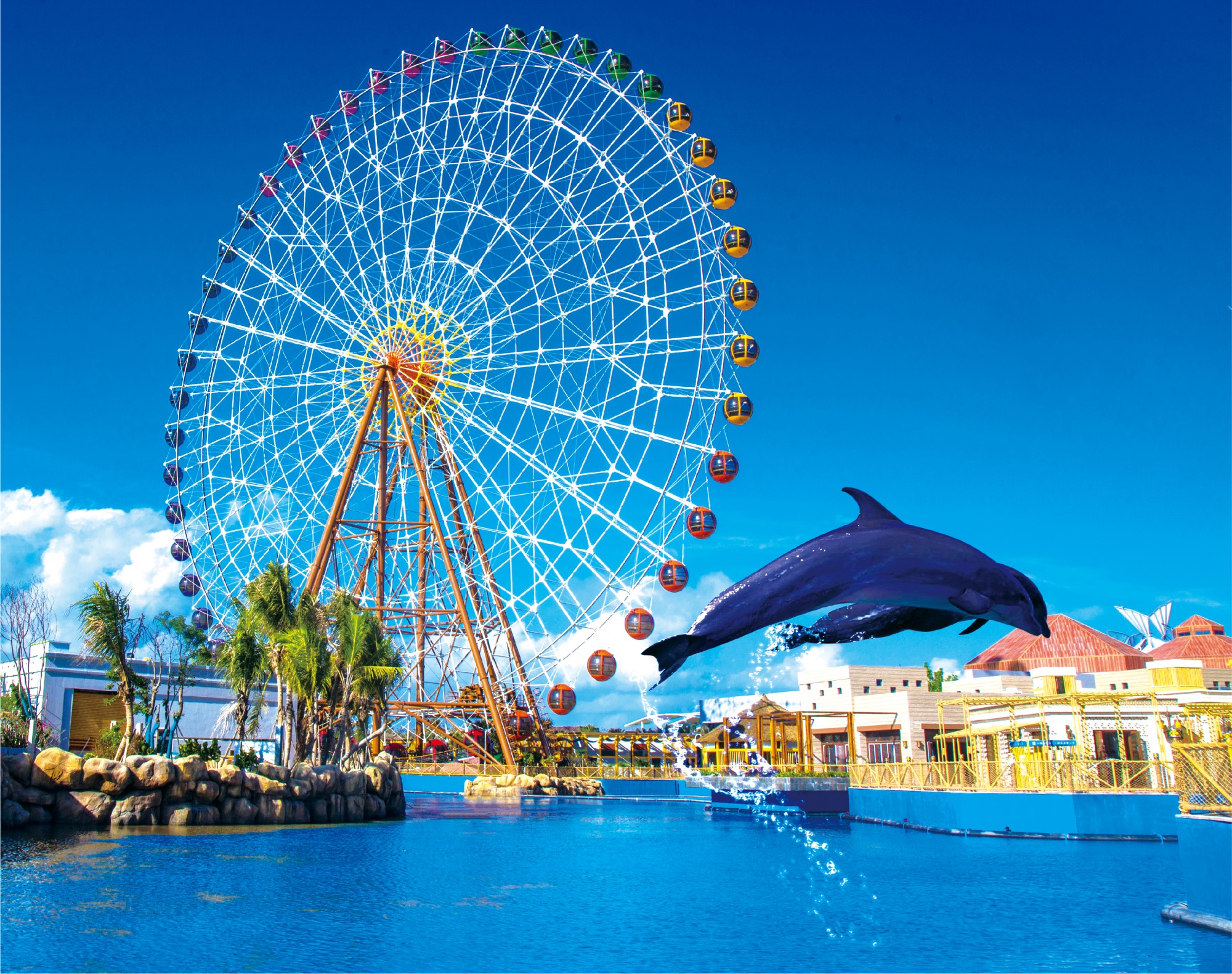 图片资料 (34) (1)