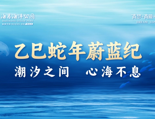 小年至 | 乙巳蛇年蔚蓝纪：潮汐之间，心海不息
