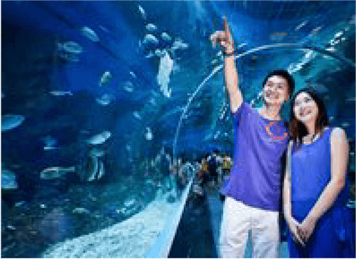 wuhan_ocean_theater001