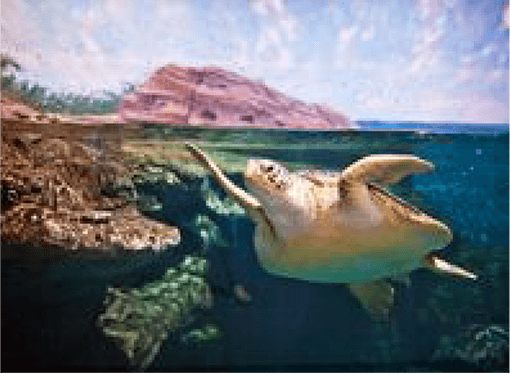 wuhan_ocean_theater003