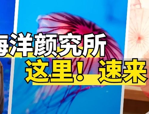 【海洋“颜”究所】9.9元特价票，还有奖励可领？会拍照还有福利！