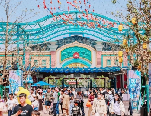 两大主题酒店五一档满房！郑州海昌海洋公园打造多元假日狂欢体验引爆假期客流！