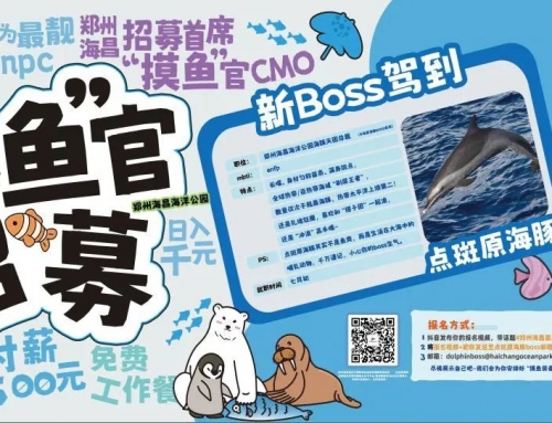郑州海昌海洋公园月薪三万招募“首席摸鱼官”！中原将迎来首个点斑原海豚天团