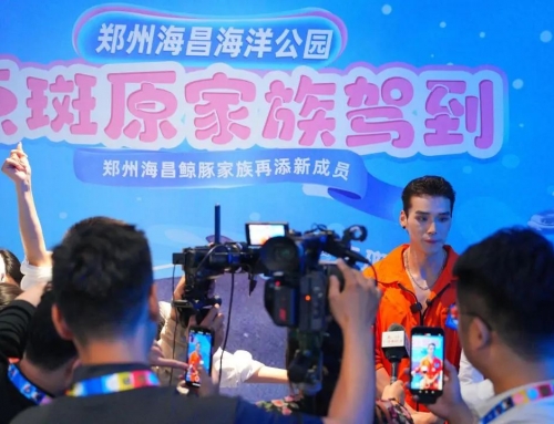 中原首次引进点斑原海豚，郑州海昌海洋公园打造鲸豚保育新标杆！