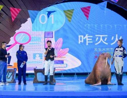 “海洋蓝”邂逅“火焰蓝”！郑州海昌以海洋文化科普构建安全教育新场景